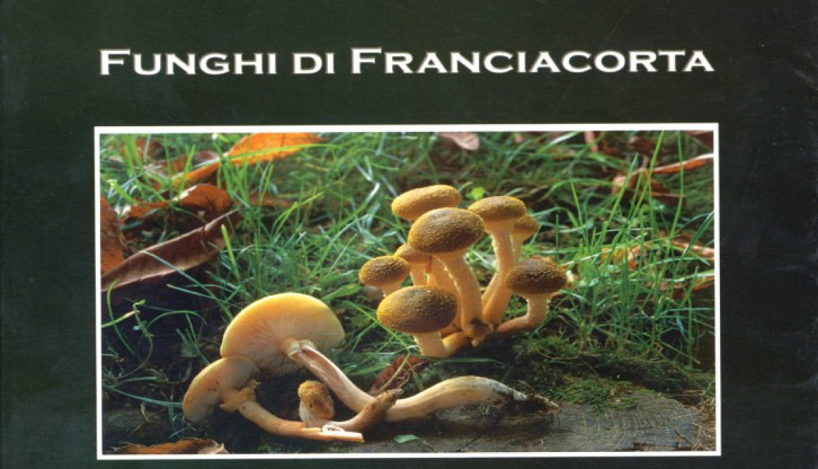 FUNGHI di FRANCIACORTA