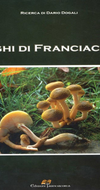 FUNGHI di FRANCIACORTA