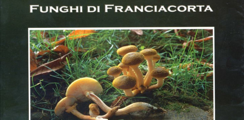 FUNGHI di FRANCIACORTA