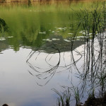 Monasterolo del Castello – Lago d’Endine (BG)