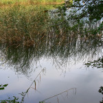 Monasterolo del Castello – Lago d’Endine (BG)