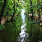 Monasterolo del Castello – Lago d’Endine (BG)