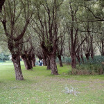 Monasterolo del Castello – Lago d’Endine (BG)